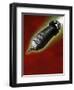 Congress II-Anthony Freda-Framed Giclee Print