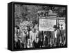 Congress of Racial Equality Marches in Memory of Birmingham Youth-Thomas J^ O'halloran-Framed Stretched Canvas