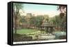 Congress Spring Park, Saratoga, New York-null-Framed Stretched Canvas