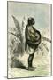 Conibo Mother Peru 1869-null-Mounted Giclee Print