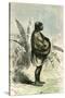 Conibo Mother Peru 1869-null-Stretched Canvas