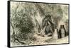 Conibo Woman 1869 Peru-null-Framed Stretched Canvas