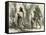 Conibos Man and Woman 1869, Peru-null-Framed Stretched Canvas