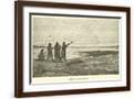 Brown Frame
