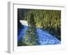 Conifer Forest Along River, Henrys Fork, Snake River, Targhee National Forest, Idaho, USA-Scott T. Smith-Framed Photographic Print