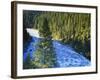 Conifer Forest Along River, Henrys Fork, Snake River, Targhee National Forest, Idaho, USA-Scott T. Smith-Framed Photographic Print