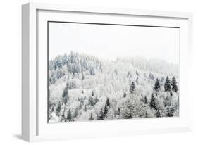 Conifer trees in the Austrian Alps dusted with snow, Austria, Europe-Alex Treadway-Framed Photographic Print