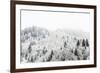 Conifer trees in the Austrian Alps dusted with snow, Austria, Europe-Alex Treadway-Framed Photographic Print