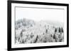 Conifer trees in the Austrian Alps dusted with snow, Austria, Europe-Alex Treadway-Framed Photographic Print