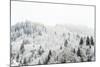 Conifer trees in the Austrian Alps dusted with snow, Austria, Europe-Alex Treadway-Mounted Photographic Print