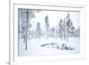 Coniferous forest in winter snow, Utsjoki, Finland, February-Danny Green-Framed Photographic Print