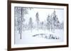 Coniferous forest in winter snow, Utsjoki, Finland, February-Danny Green-Framed Photographic Print