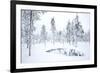 Coniferous forest in winter snow, Utsjoki, Finland, February-Danny Green-Framed Photographic Print