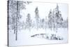 Coniferous forest in winter snow, Utsjoki, Finland, February-Danny Green-Stretched Canvas