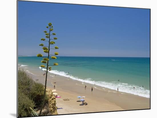 Conil De La Frontera, Costa De La Luz, Andalucia, Spain, Europe-Miller John-Mounted Photographic Print