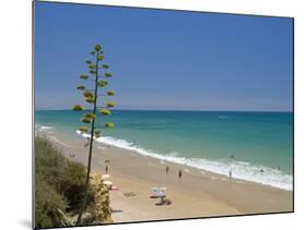 Conil De La Frontera, Costa De La Luz, Andalucia, Spain, Europe-Miller John-Mounted Photographic Print