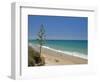 Conil De La Frontera, Costa De La Luz, Andalucia, Spain, Europe-Miller John-Framed Photographic Print