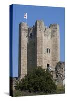 Conisbrough Castle, South Yorkshire, Yorkshire, England, United Kingdom, Europe-Rolf Richardson-Stretched Canvas