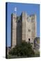 Conisbrough Castle, South Yorkshire, Yorkshire, England, United Kingdom, Europe-Rolf Richardson-Stretched Canvas