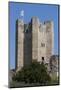 Conisbrough Castle, South Yorkshire, Yorkshire, England, United Kingdom, Europe-Rolf Richardson-Mounted Photographic Print