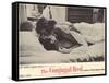 Conjugal Bed, 1964-null-Framed Stretched Canvas