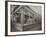 Connecticut in the Agricultural Building-null-Framed Photographic Print