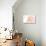 Connecticut - Sailboat - Coral - Coastal Icon-Lantern Press-Stretched Canvas displayed on a wall