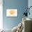 Connecticut - Scallop Shell - Yellow - Coastal Icon-Lantern Press-Stretched Canvas displayed on a wall