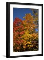 Connecticut Scenic-Lynn M^ Stone-Framed Photographic Print