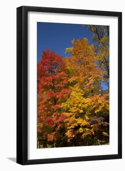 Connecticut Scenic-Lynn M^ Stone-Framed Photographic Print