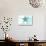 Connecticut - Starfish - Teal - Coastal Icon-Lantern Press-Stretched Canvas displayed on a wall