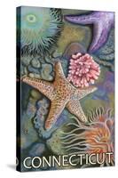 Connecticut - Tidepool Scene-Lantern Press-Stretched Canvas