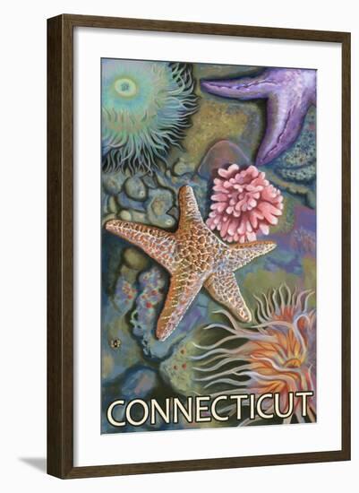 Connecticut - Tidepool Scene-Lantern Press-Framed Art Print