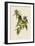 Connecticut Warbler-John James Audubon-Framed Giclee Print