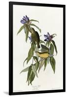 Connecticut Warbler-null-Framed Giclee Print