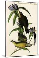 Connecticut Warbler-John James Audubon-Mounted Art Print