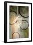 Connections II-Michael Marcon-Framed Art Print