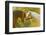 Connemara Pony, Portrait, Stallions, Side View-David & Micha Sheldon-Framed Photographic Print