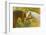 Connemara Pony, Portrait, Stallions, Side View-David & Micha Sheldon-Framed Photographic Print