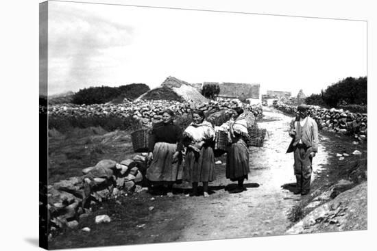 Connemara Turf, Ireland-null-Stretched Canvas