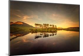 Connemara-Philippe Sainte-Laudy-Mounted Photographic Print