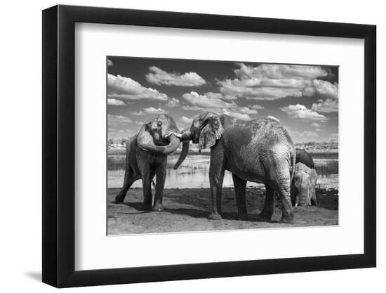 Photographic Print, , large