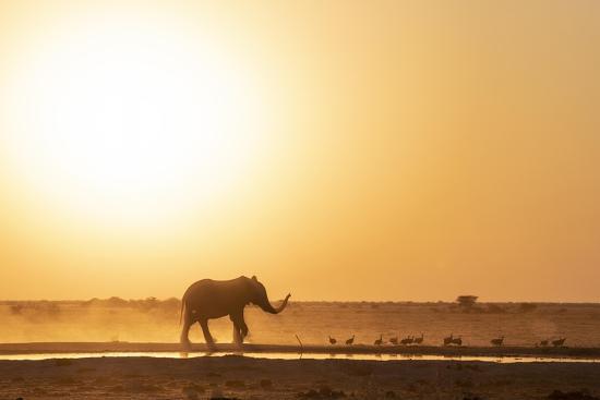 Photographic Print, , large