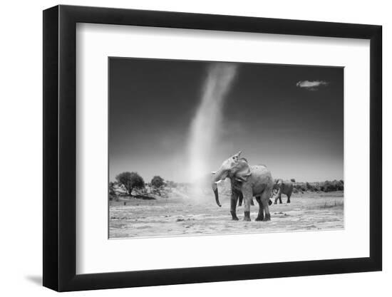 Photographic Print, , large