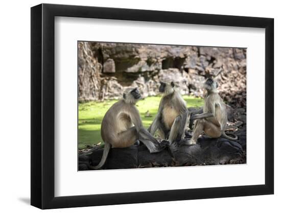 Photographic Print, , large