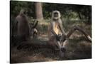 Stretched Canvas