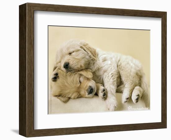 Connie and Jay-Rachael Hale-Framed Art Print