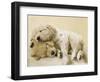 Connie and Jay-Rachael Hale-Framed Art Print