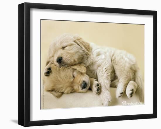 Connie and Jay-Rachael Hale-Framed Art Print