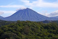 El Salvador, Central America. Carmen Organic Coffee Estate.-Connie Bransilver-Photographic Print